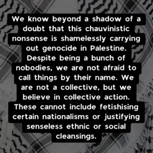 Slide 4: We know beyond a shadow of a doubt that this chauvinistic nonsense is shamelessly carrying out genocide in Palestine. Despite being a bunch of nobodies, we are not afraid to call things by their name. We are not a collective, but we believe in collective action. These cannot include fetishising certain nationalisms or justifying senseless ethnic or social cleansings.